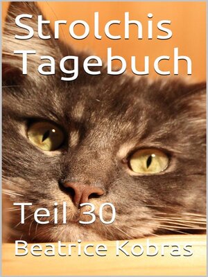 cover image of Strolchis Tagebuch--Teil 30